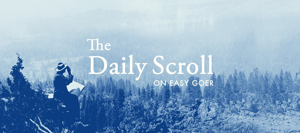 Daily Scroll